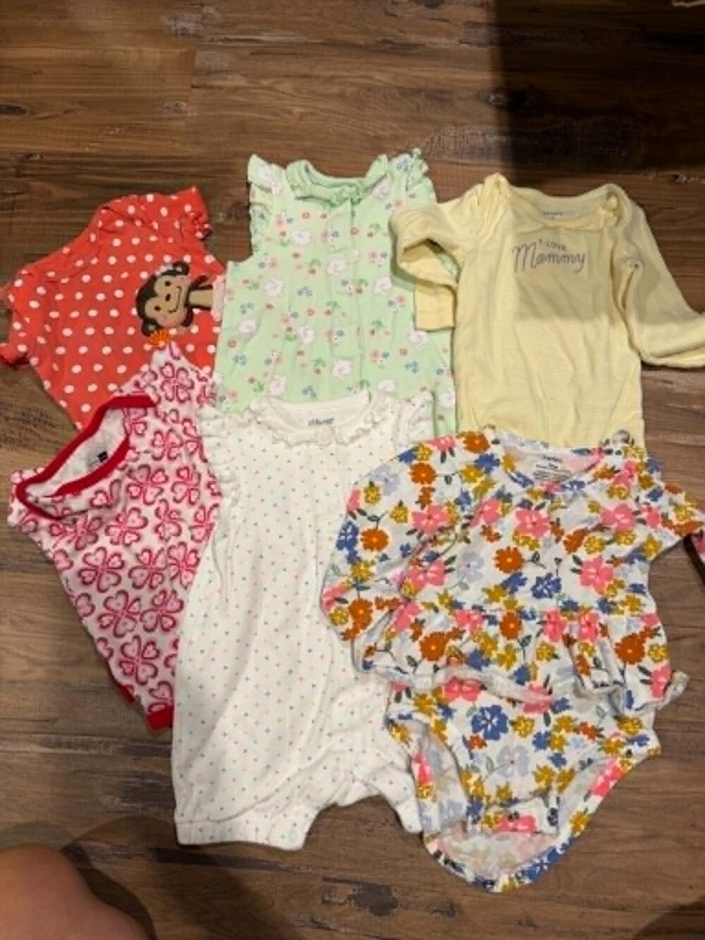 Baby Girl Clothing Bundle 9 Months